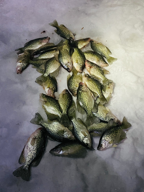 CF022A2E-C2BA-4DA9-95C6-D03DC7B751EC