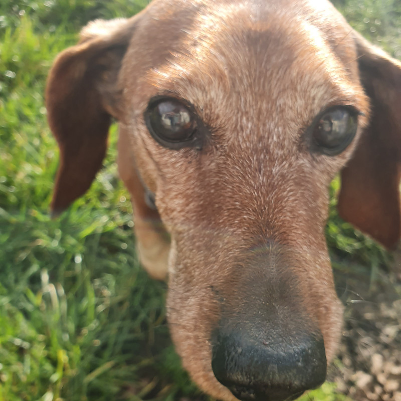 [Image: 20210117-144947.jpg]