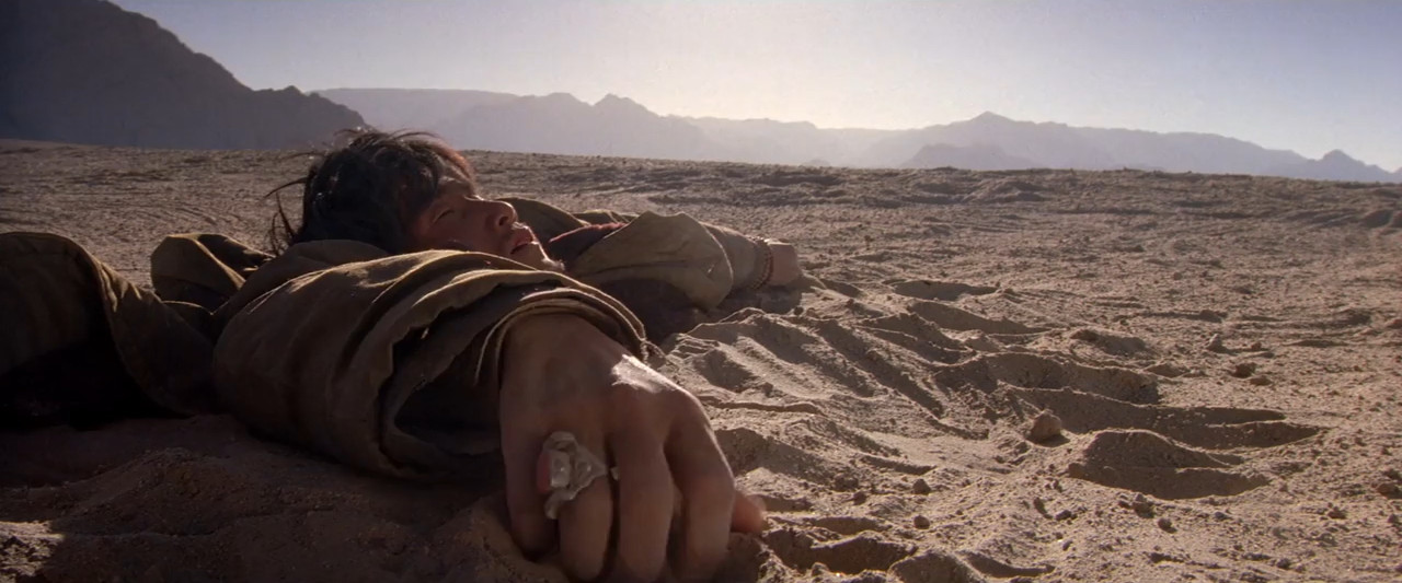 Mountain Patrol 2004 WebRip [Hindi + Tamil + Chinese] 480p 720p ESub Screenshot