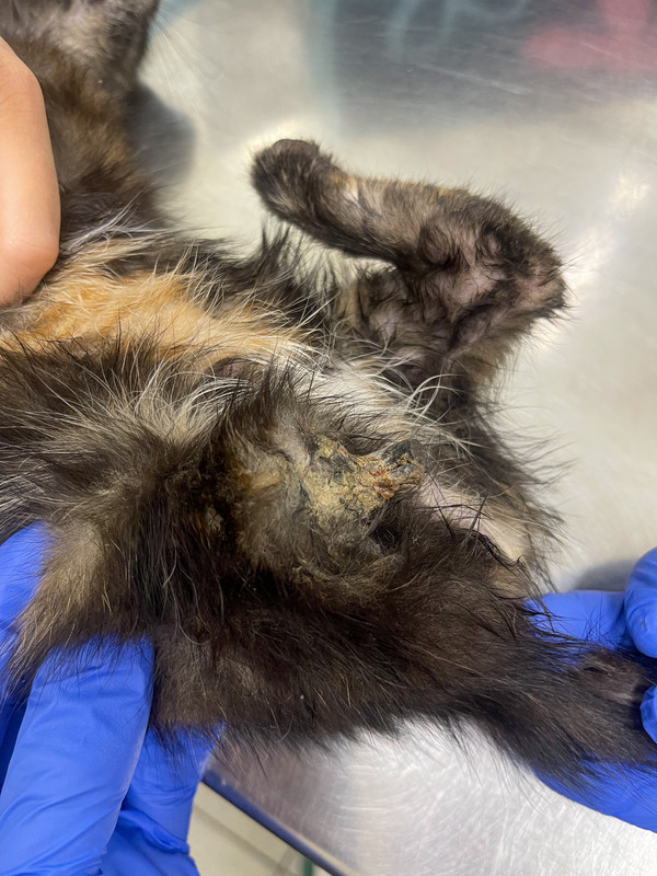 E504DEA1-AF5A-4645-9D0F-D3C72E9D00BE