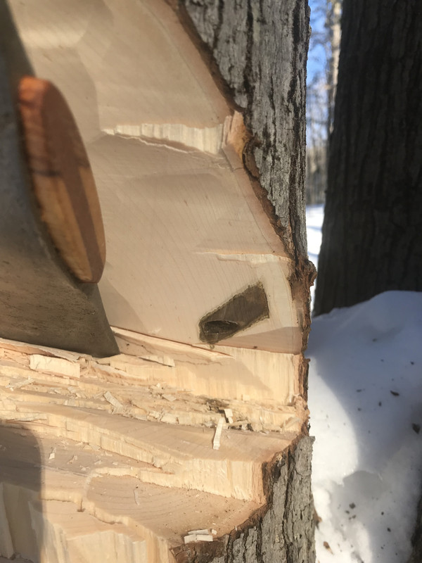 A4605131-E540-408C-BF6A-D64F7DBF85DA