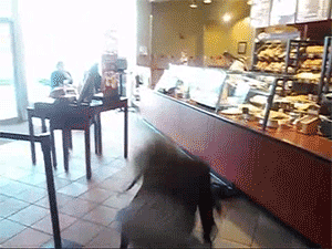1670061406328601.gif