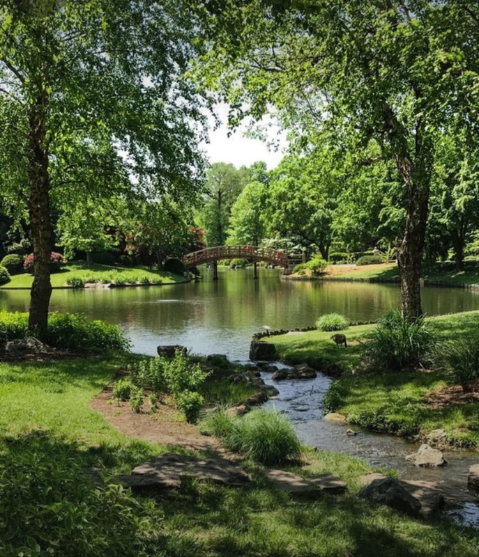 Screenshot_20240320_230931_Pinterest