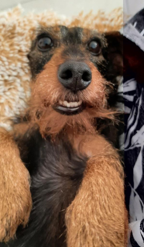 [Image: 06-2021-2-WEB.jpg]