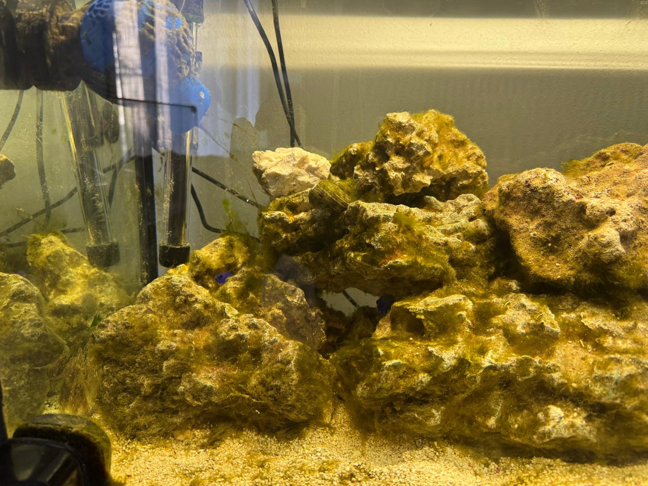 526a16a7 4151 4d91 92c0 9039e2a53212