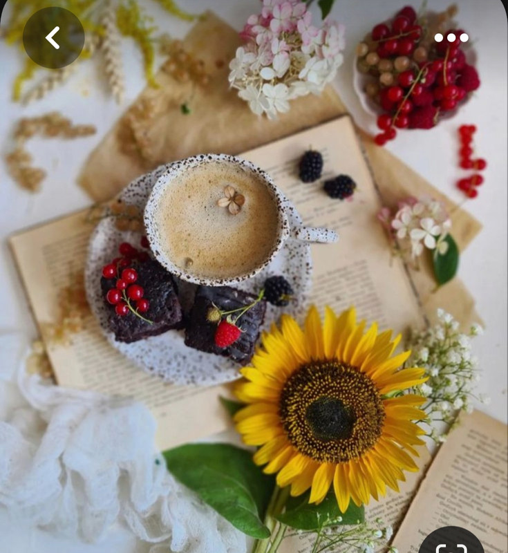 Screenshot_20230808_002844_Pinterest