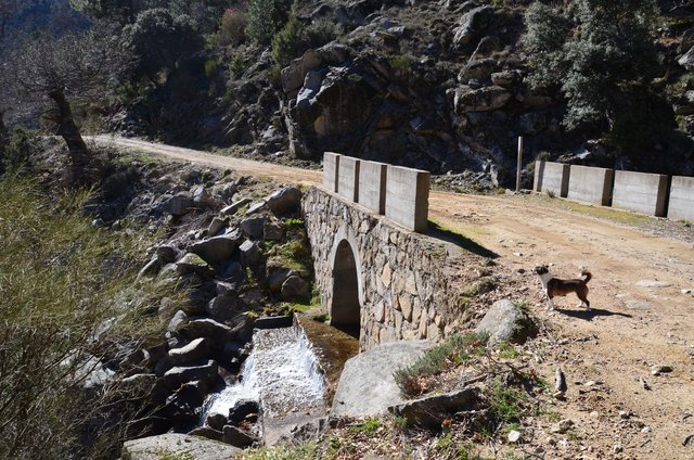 RUTA EMBALSE DEL HORCAJO Y GARGANTAS DEL VALLE DEL TIETAR-20-2-2016-AVILA - Paseando por España-1991/2016 (50)