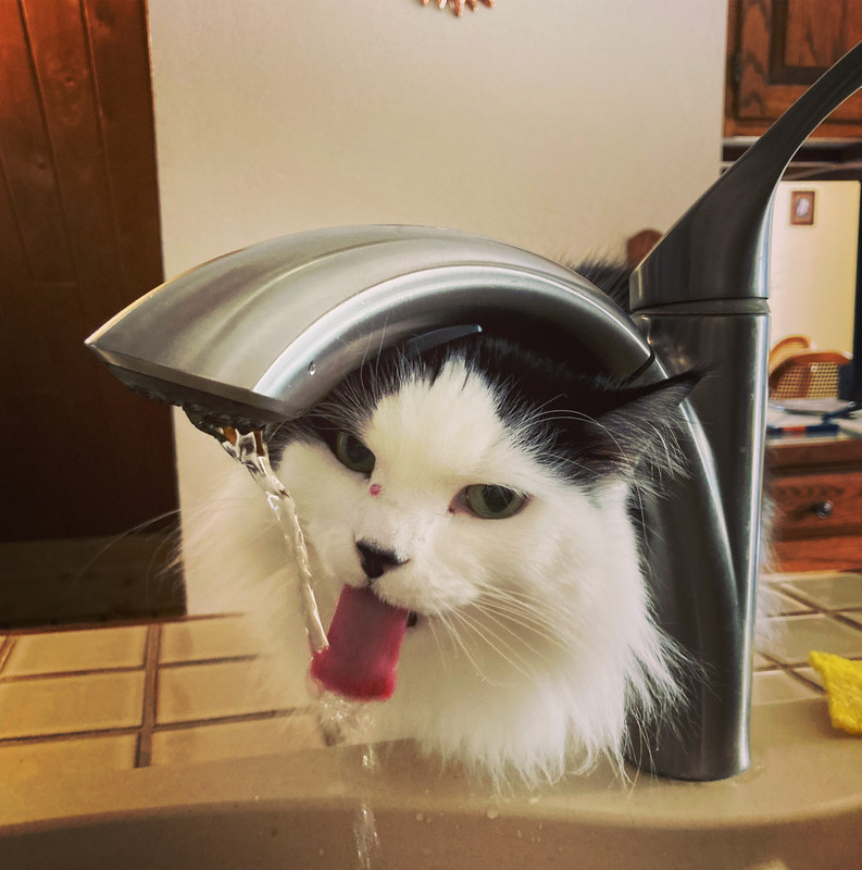 F64838FF DD68 4F78 AC1D 24C6B4CAC174