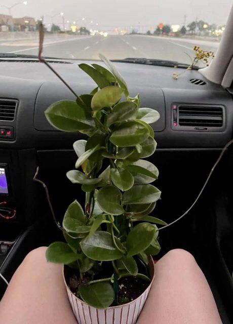 [Image: E973-C318-8798-48-CB-98-EF-9-D9-B22-B03-F0-B.jpg]