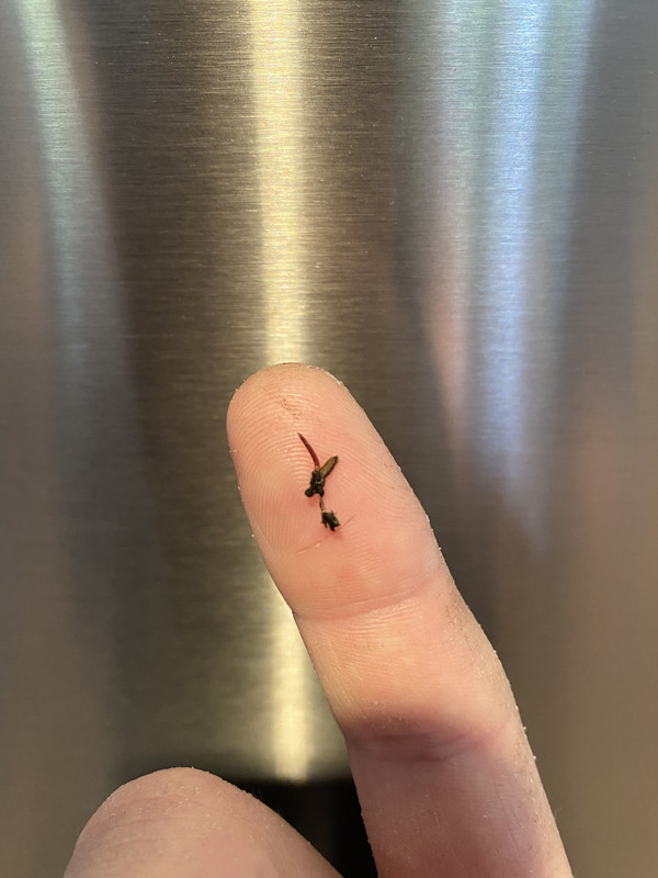 3D2DF211-3FE0-42DB-A102-FB37785F7556