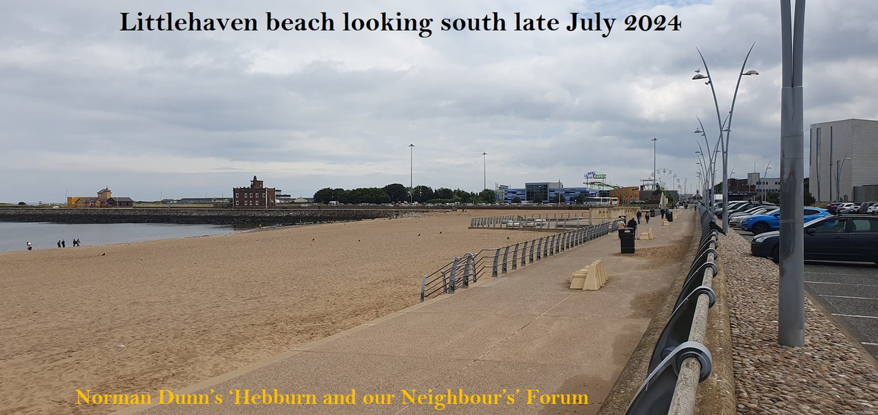 Shields beach 2024 (2)