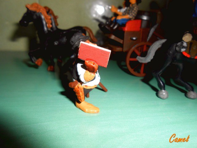DSCN8335
