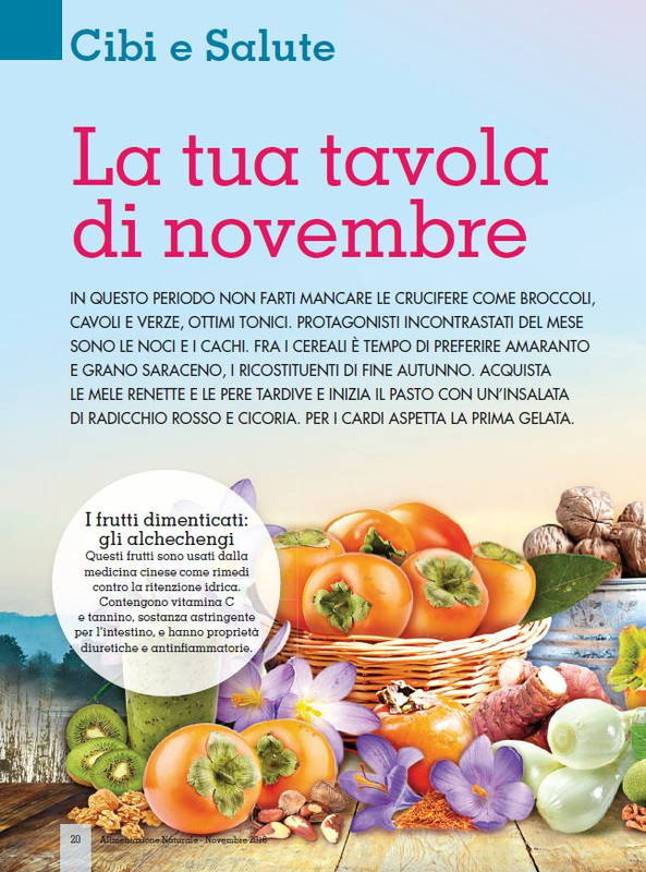 Alim Nat Nov 2016 (1)