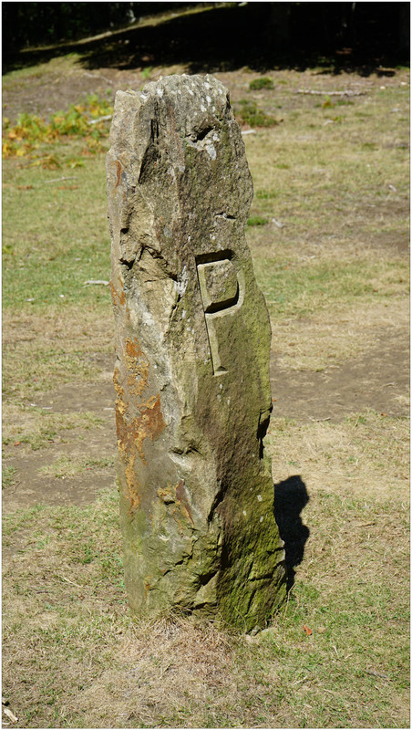 DSC08061