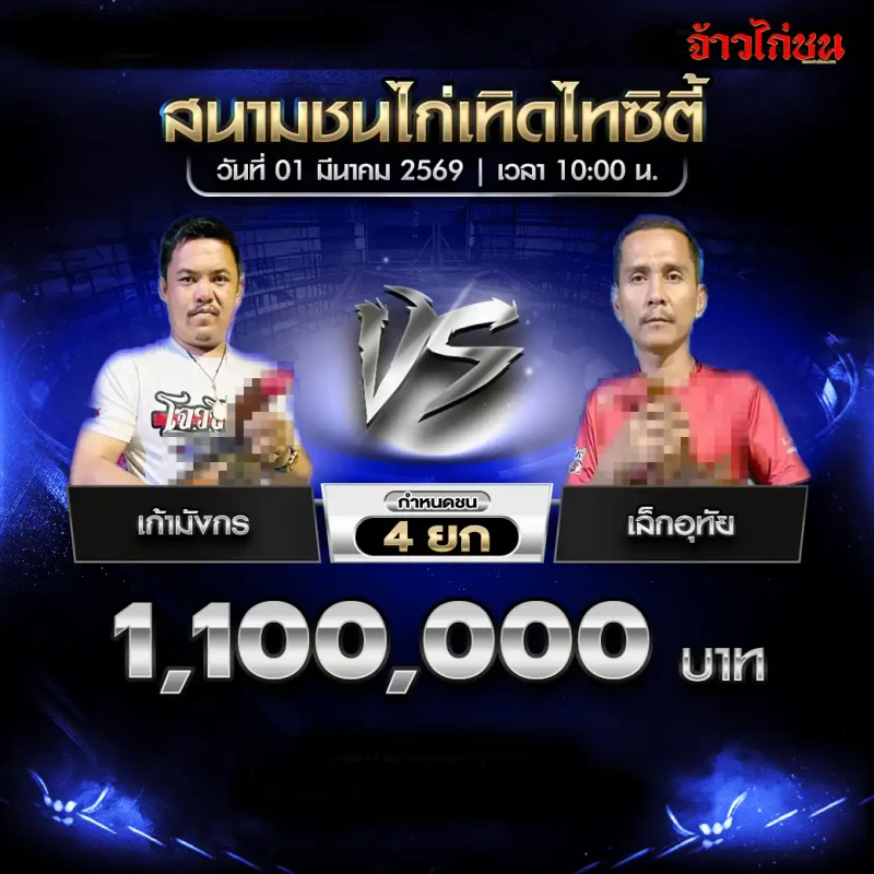 โปรแกรมไก่ชน เทิดไทซิตี้ 1 มีนาคม 2569 : เก้ามังกร vs เล็กอุทัย (1,100,000 บาท)