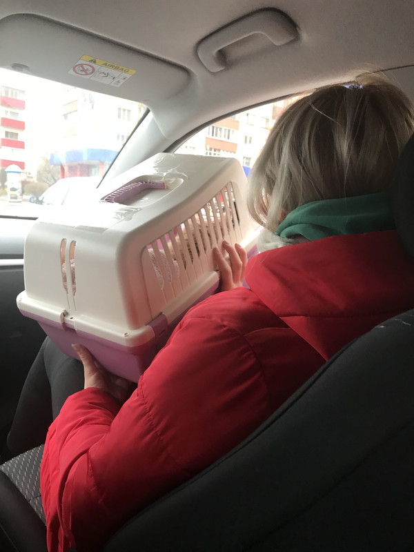 F99FBCD9-C0F9-4B80-8AD1-5D2169CCAB9A