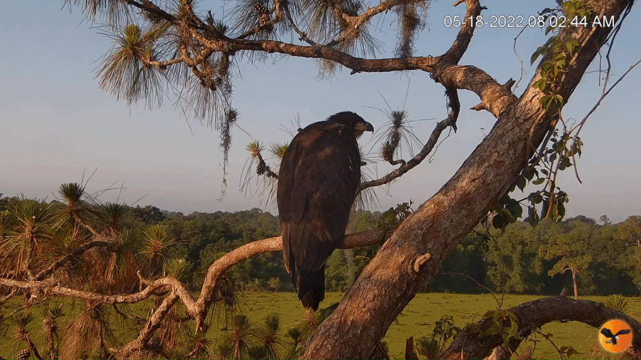 Webp.net-gifmaker (10)