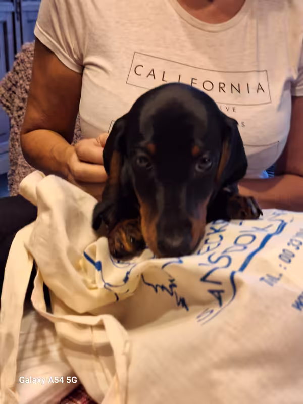 [Image: 20241006-185718.avif]