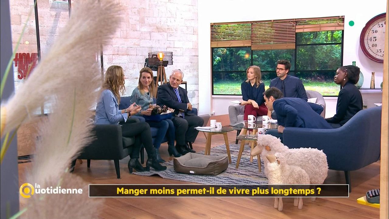 26 December - 10.45.00 - La quotidienne. Entourés d'experts-chro