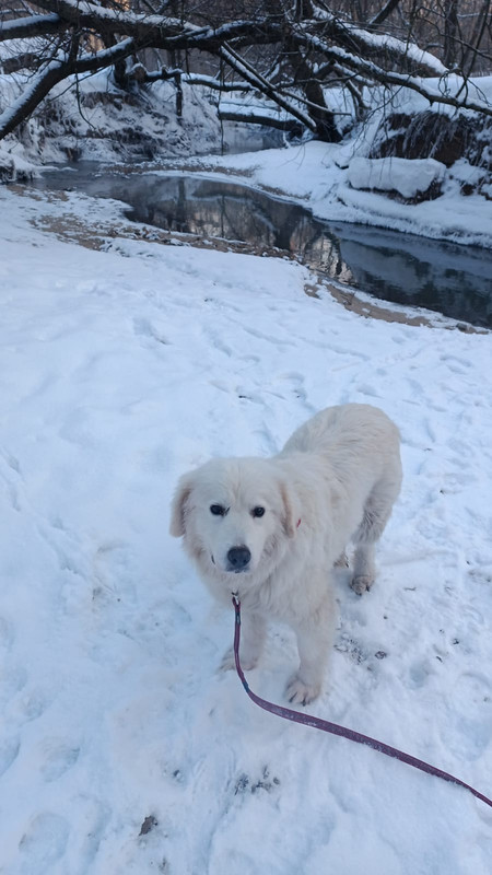 D0EB4848-2830-4C3F-8D71-49988D249C76