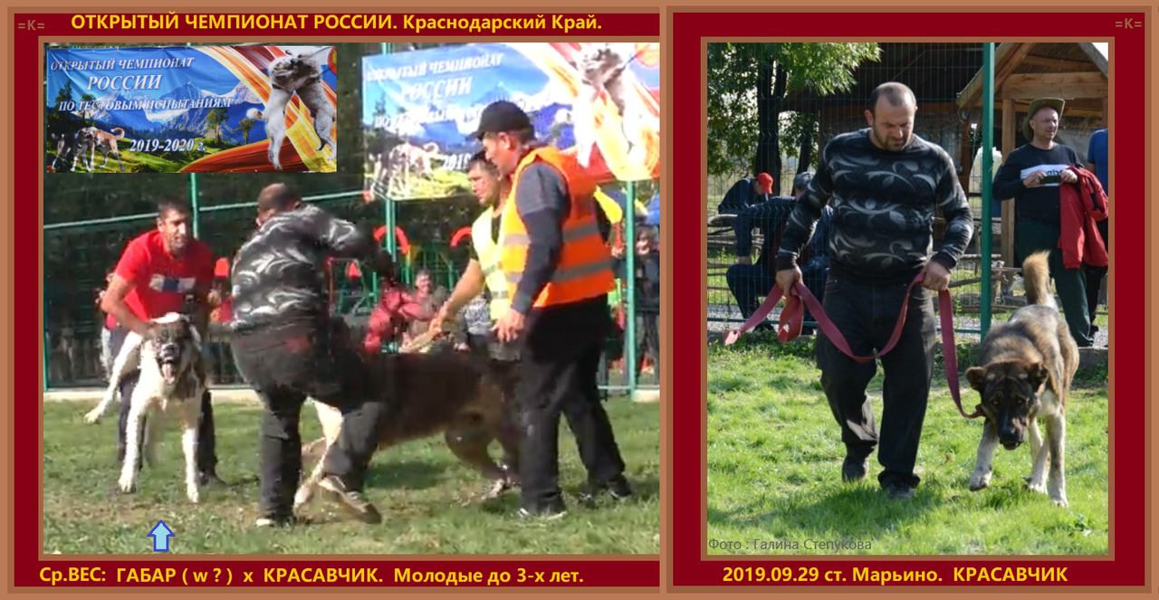 2019.09.29 ТИ ЕЧР ГАМБАР w х КРАСАВЧИК 4 глазый 1