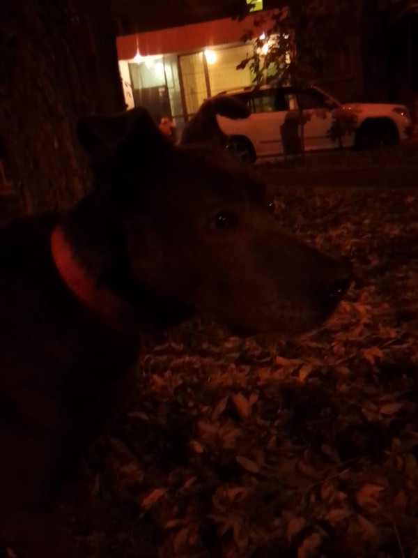 443248EF-649C-4149-8096-808ADAE11BA3