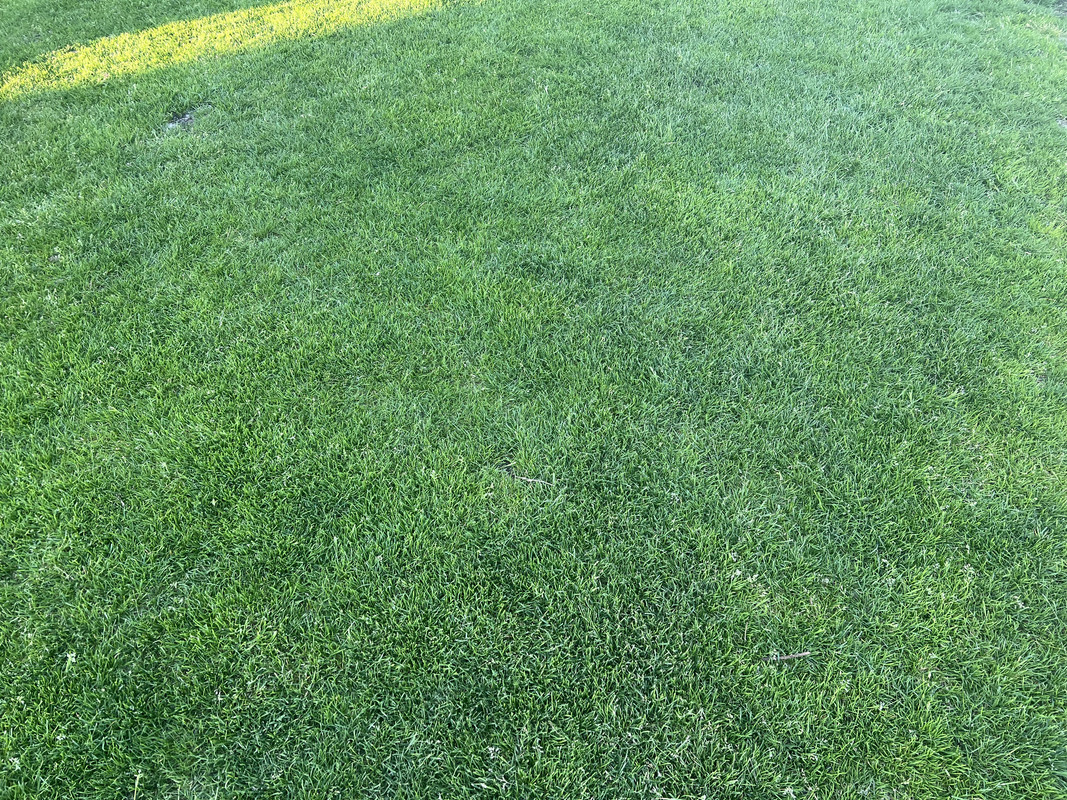 CC6F434F-092C-4707-A155-94E295321718