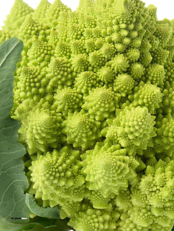 gus - Dic 2023-Gen 2024 (1)