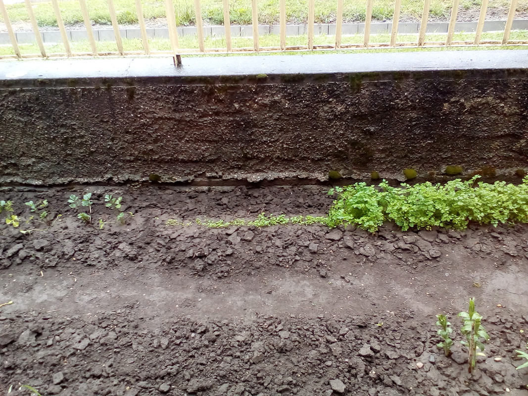 IMG_20210513_120851[1]