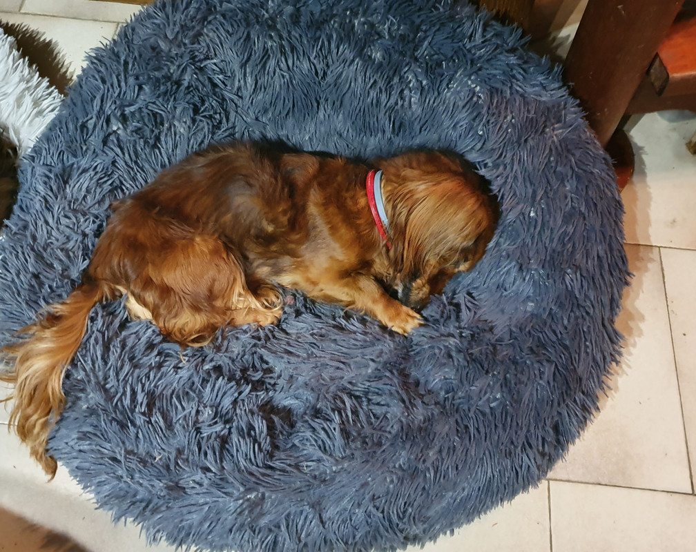 [Image: 20210508-084544.jpg]