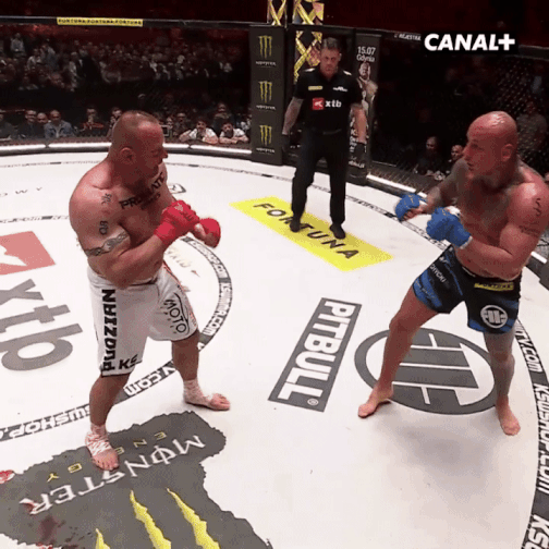 ajtujpedzian1.gif