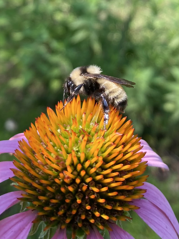 72596DEB-20AB-498B-AE14-34F2651E2FB5