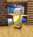 Shady in Banana suit Minecraft Skin