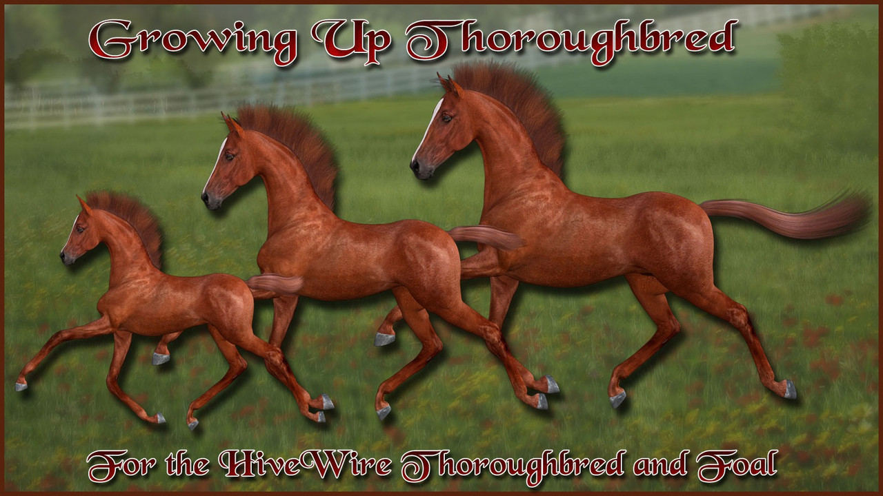 11672 growing up thoroughbred main