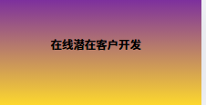 在线潜在客户开发