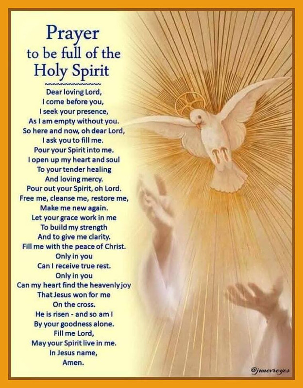 Novena 5