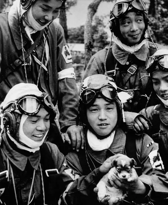 kamikaze