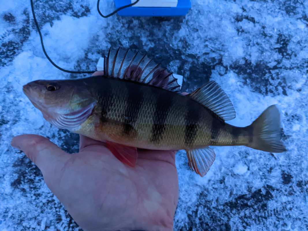 PXL_20220128_221335526