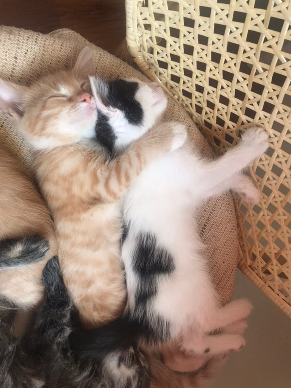 AF2B4739-011B-443E-BE0E-73E296B696C6