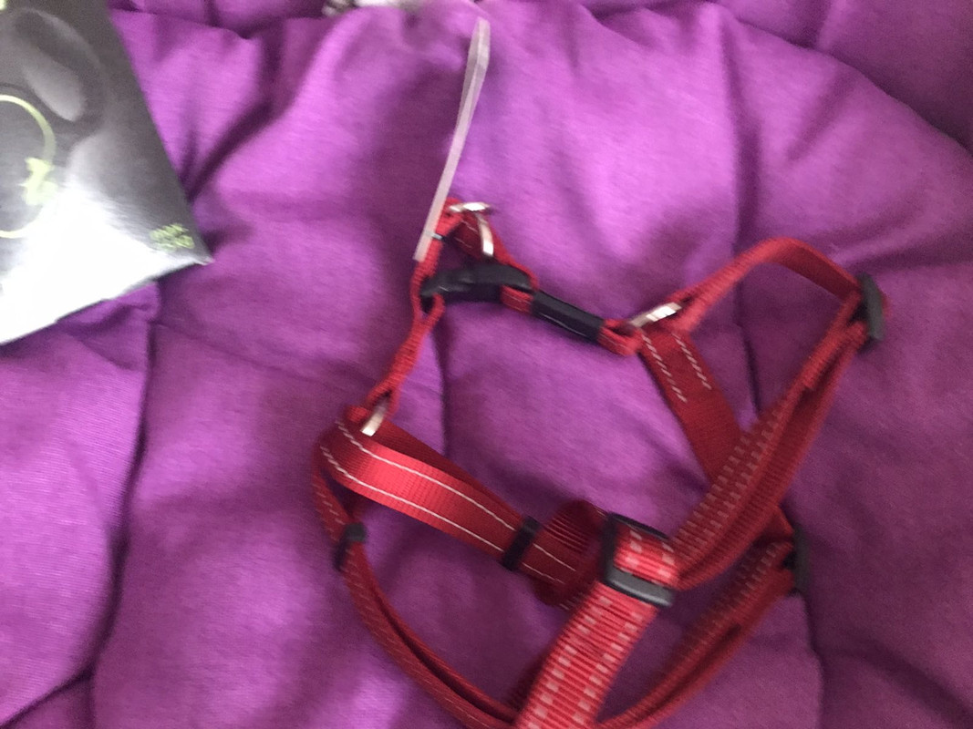 5813C538-CDFD-4163-B9E0-B23105120025