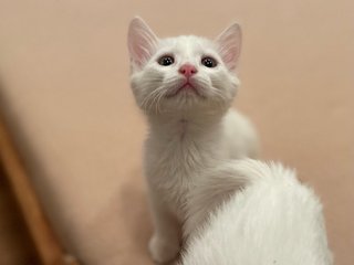 712277AD-AC00-4E6E-9777-50F4253560F8