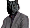 Cupace20220727231544298.png