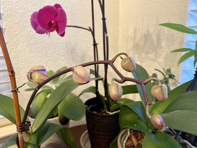 [Image: 210-FA04-D-CA09-4945-A23-E-927259-B90-B22.jpg]