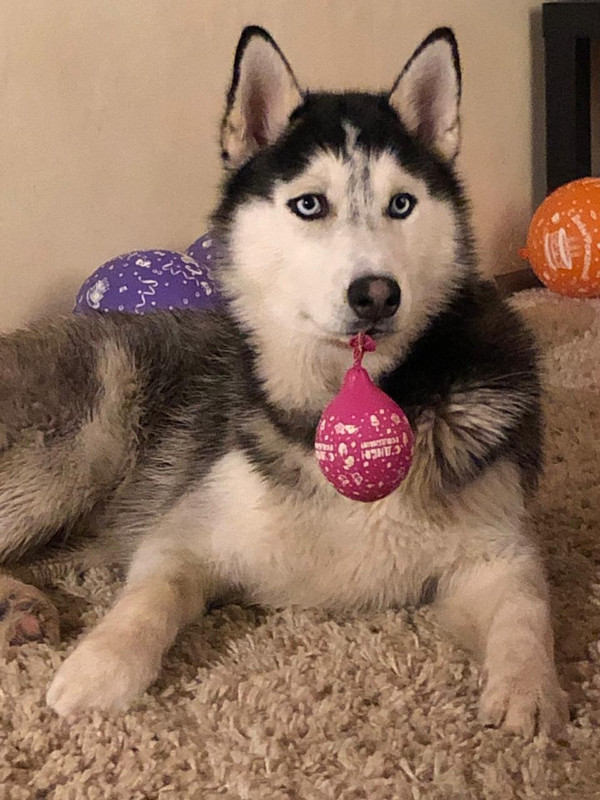 WhatsApp Image 2019-07-17 at 20.38.41(1)