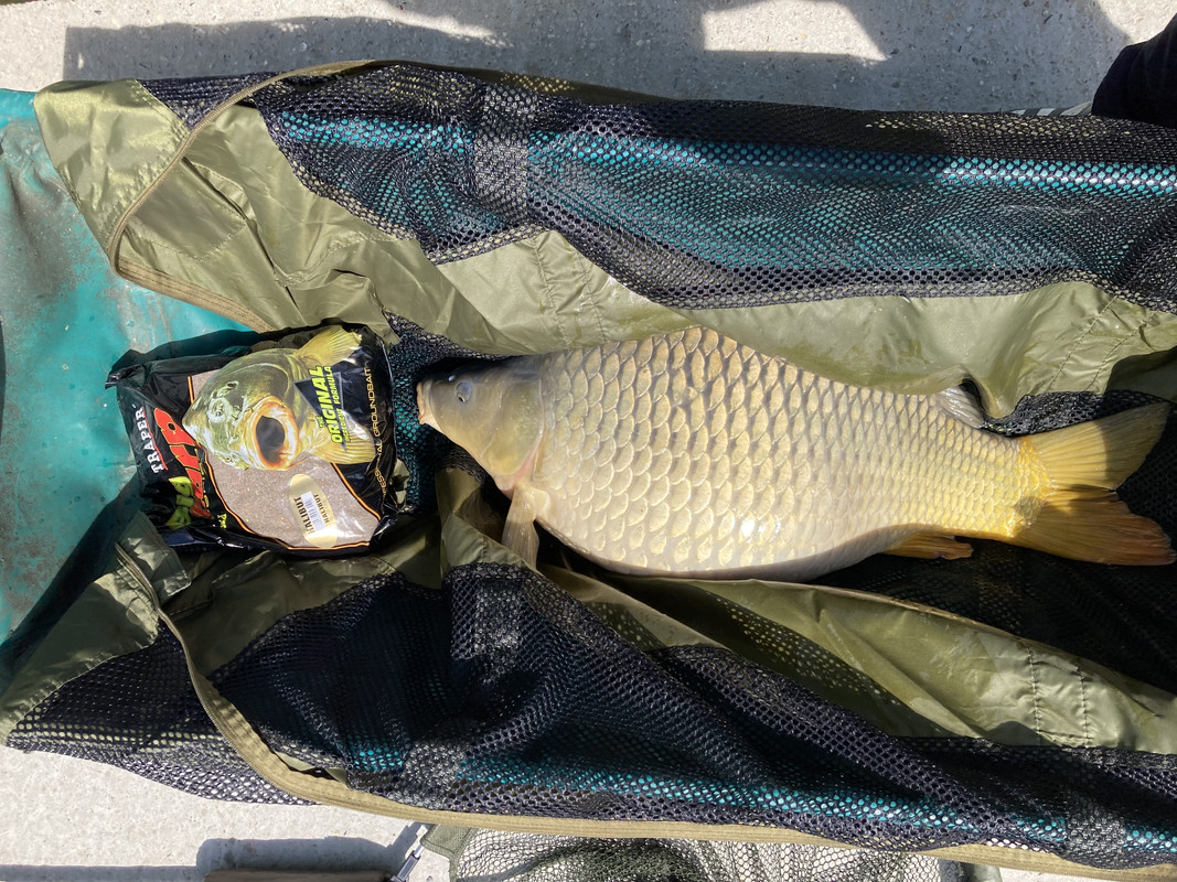 581712B5-F82C-420D-825A-9032FC2AA942