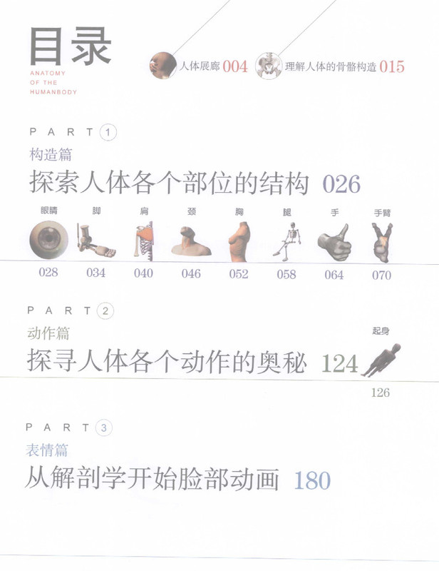 福利教程-设计师圣经-人体的机理 人体动作设计参考 PDF书籍(4)