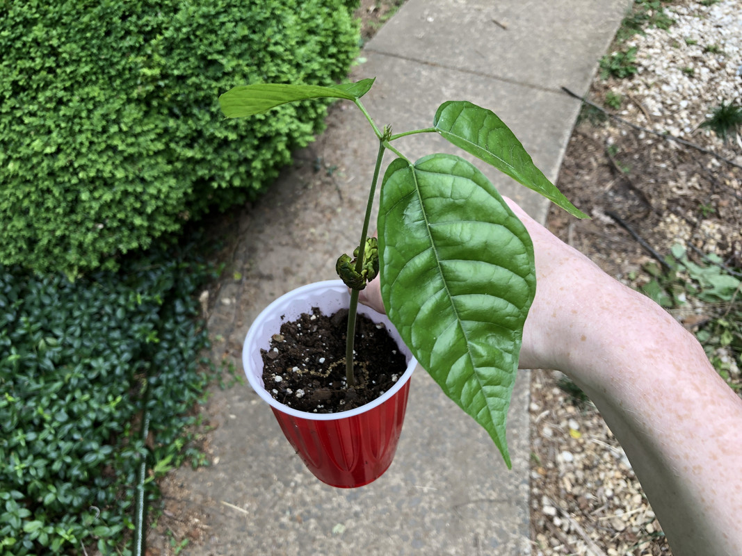 C996A215-5072-4EA2-B3BA-7D9D419E1543