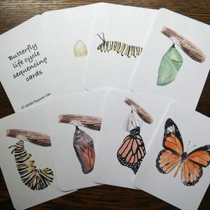 0175194be23424691cc78d0703867838