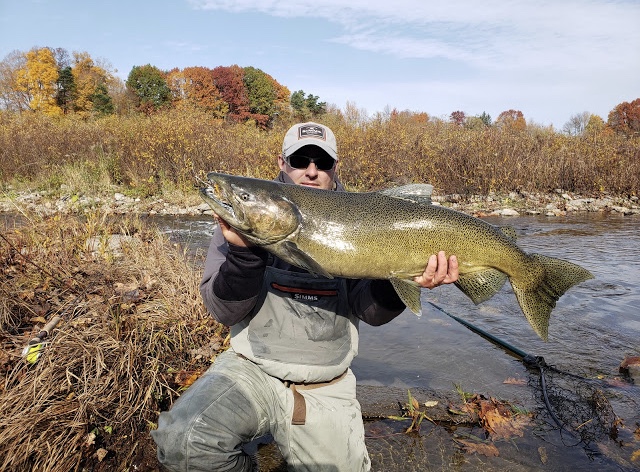 5E3F2E8F-E852-4BDD-8D0B-31A829F04557