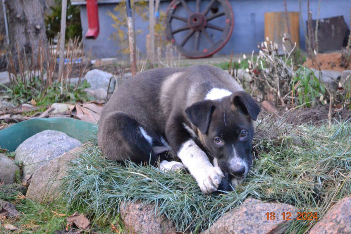 photo_10_2025-01-07_13-23-41